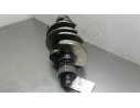 CIGUEÑAL 059105019AE 
