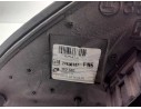 RETROVISOR DERECHO 24436147FN6 
