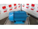 MOTOR ELECTRICO WT-200L1-6 CENEMESA TRIFÁSICO 25 CV 18.5KW
