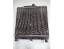 RADIADOR AGUA SA2531007000 