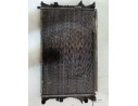 RADIADOR AGUA 8200008765 