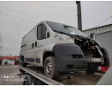 CITROEN JUMPER GROSSRAUMKASTEN