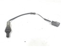 SONDA LAMBDA 36531P9LE02 
