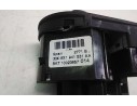 MANDO LUCES 8X1941531AA 