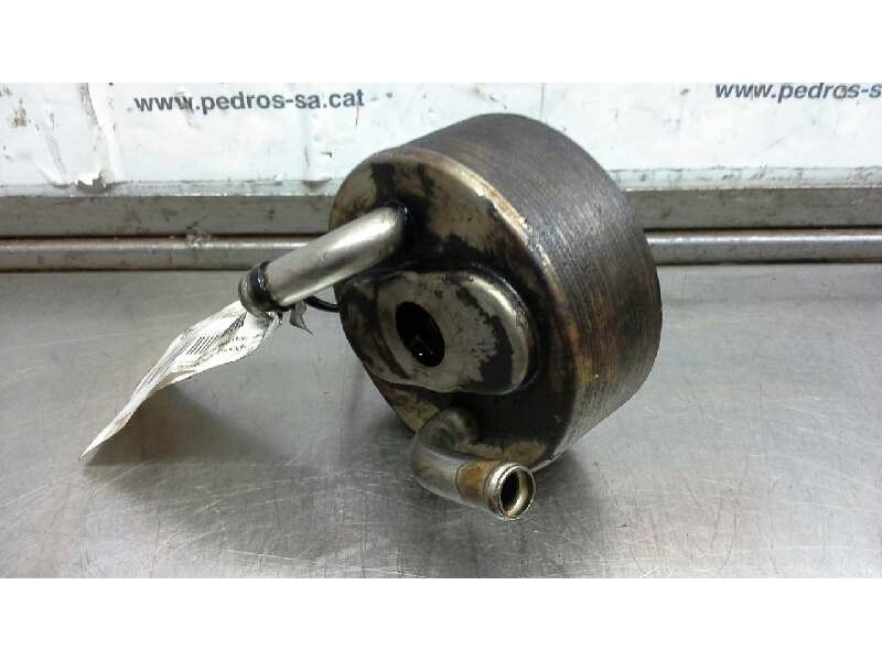 Recambio de enfriador aceite motor para nissan primera berlina (p11) básico referencia OEM IAM   