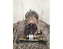 CAJA CAMBIOS R2202711901 