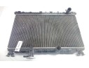 RADIADOR AGUA 253101GXXX 