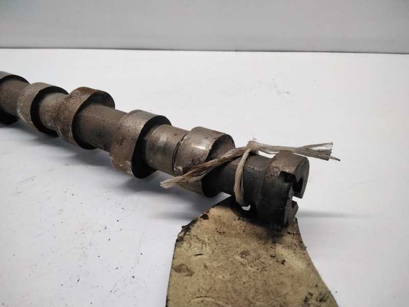 Recambio de arbol de levas para audi 80 avant 1.9 turbodiesel cat (aaz) referencia OEM IAM   97677