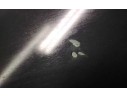 LUNA TRASERA IZQUIERDA AS2M3240D0T682 