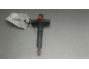 INYECTOR 484410 