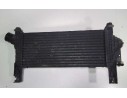 INTERCOOLER V4454002 144615X00A 