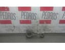 BIELA 