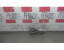 BIELA 