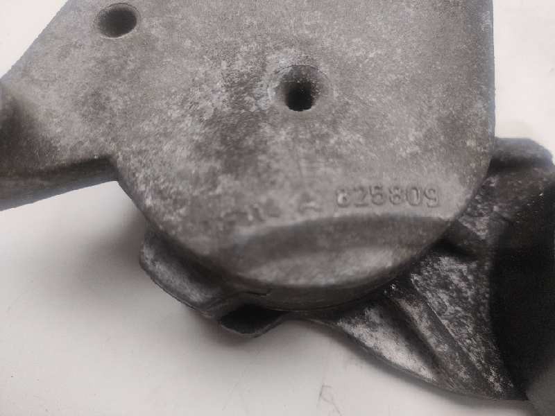 Recambio de tensor correa auxiliar para peugeot 308 confort referencia OEM IAM 825809  