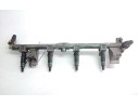 RAMPA INYECTORA 2508996B 