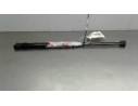 AMORTIGUADORES MALETERO / PORTON 8731J8 