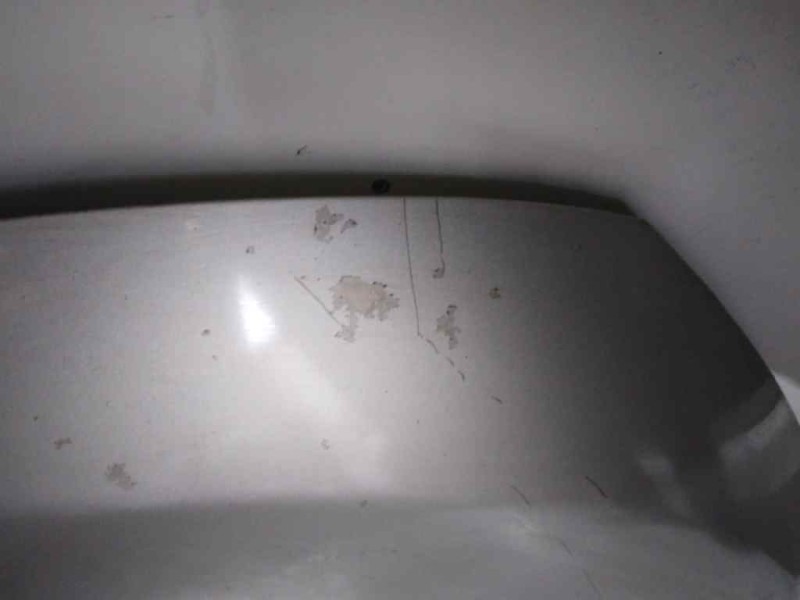 Recambio de capot para nissan murano (z50) básico referencia OEM IAM   