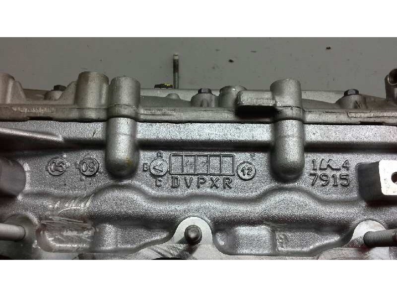 Recambio de culata izquierda para nissan pathfinder (r51) 3.0 v6 dci cat referencia OEM IAM   