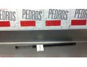 AMORTIGUADORES MALETERO / PORTON 