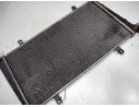 RADIADOR AGUA PA66GF30 