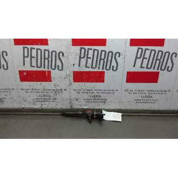 INYECTOR 0445110165 109416