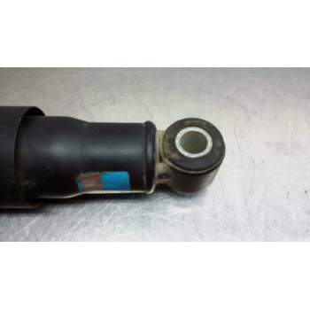 Recambio de amortiguador delantero para iveco eurostar ld440e42t referencia OEM IAM   109807
