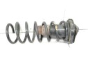 MUELLE SUSPENSION TRASERA 