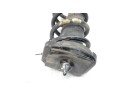 MUELLE SUSPENSION TRASERA 