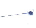 ANTENA 