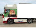 DAF SERIE XF105.XXX