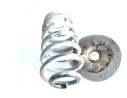 MUELLE SUSPENSION TRASERA 