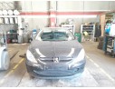 PEUGEOT 307 CC (S1)