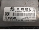 CENTRALITA MOTOR UCE 03L906018QL-0281019116 