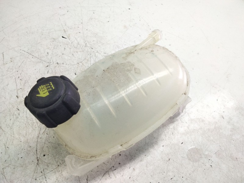 Recambio de deposito de agua para renault arkana e-tech 1.6 hybrid referencia OEM IAM 217102572R  