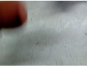 CUERPO DE MARIPOSA CA0011245A 