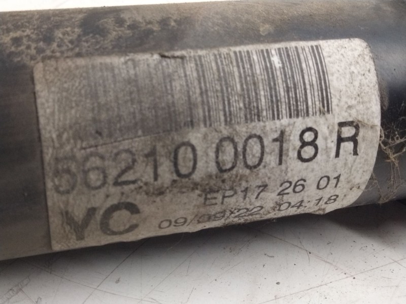 Recambio de amortiguador trasero izquierdo para renault scenic iii dynamique referencia OEM IAM 562200018R  