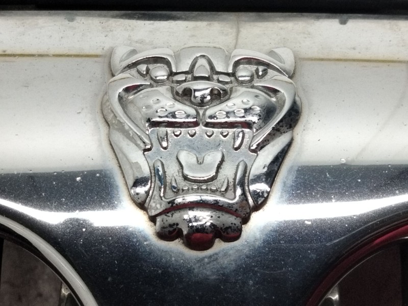 Recambio de rejilla delantera para jaguar x-type 2.0 d classic referencia OEM IAM 1X435510AH  