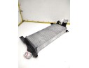 INTERCOOLER V4454002 144615X00A 