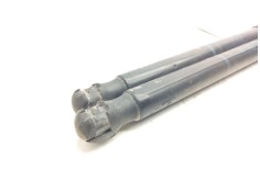 Recambio de amortiguadores maletero / porton para renault scenic ii dynamique referencia OEM IAM    2