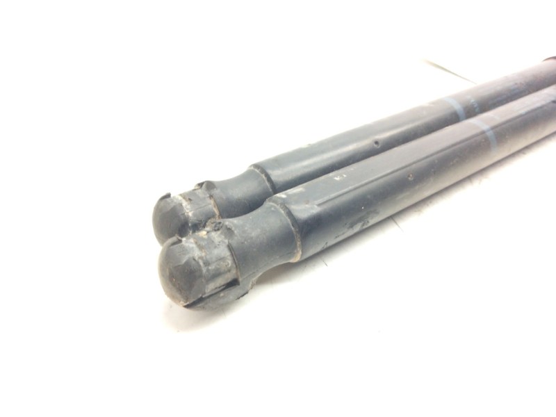 Recambio de amortiguadores maletero / porton para renault scenic ii dynamique referencia OEM IAM   