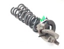 MUELLE SUSPENSION TRASERA 
