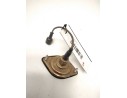 PILOTO MATRICULA LB0364R 