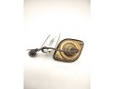 PILOTO MATRICULA LB0364R 