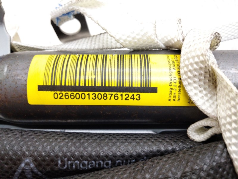 Recambio de airbag lateral derecho para nissan qashqai (j10) tekna referencia OEM IAM 02660011308761243  
