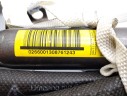 AIRBAG LATERAL DERECHO 02660011308761243 