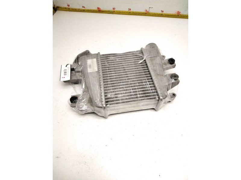 Recambio de intercooler para nissan terrano/terrano.ii (r20) 3.0 td cat referencia OEM IAM 14461UC106 NISSAN 