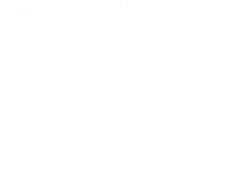 Recambio de maneta interior delantera izquierda para citroen c15 1.4 (150f. k1f. k1g) referencia OEM IAM   