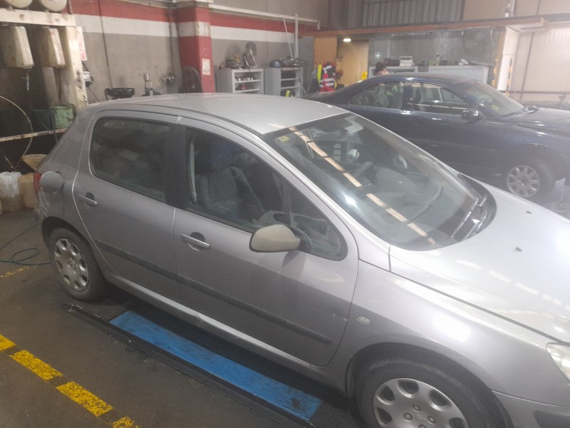 peugeot 307 (s1) del año 2002
