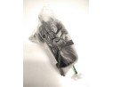 SOPORTE FILTRO GASOIL R6350180 DELPHI 8200116578