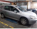 PEUGEOT 307 (S1)